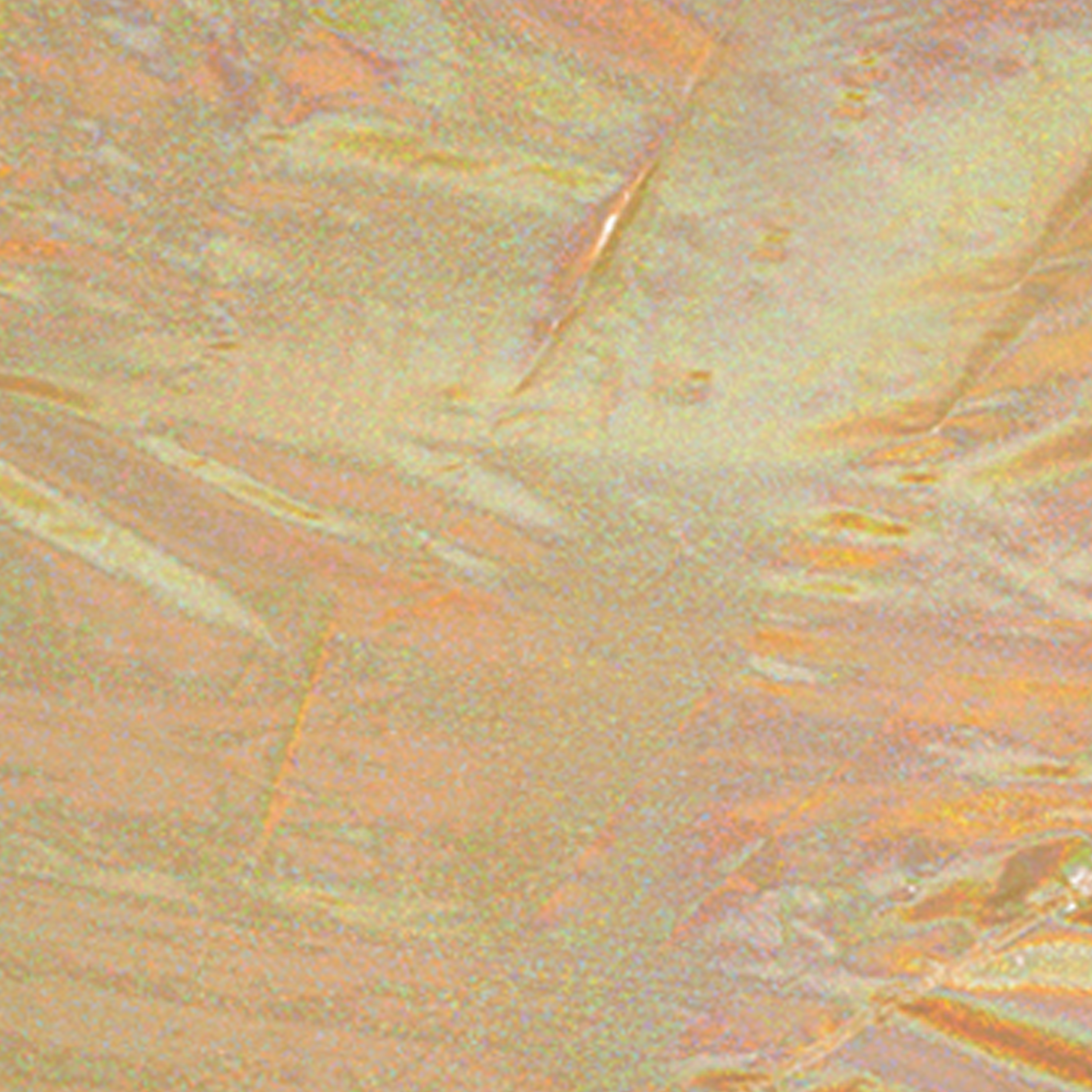 Fabric: Mardi Gras Lamé